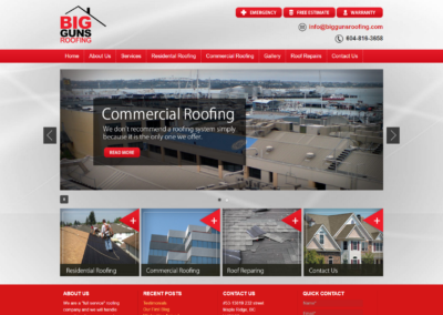 Big Guns Roofing LTD